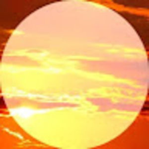 Meet your Posher, Maya